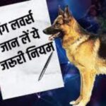 गाजियाबाद में कुत्ता पालना हुआ अब और भी महंगा, 1 अप्रैल से जारी होंगे ये 5 नियम