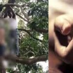 लखनऊ में पत्नी की हत्या कर पति ने लगाई फांसी, आम के पेड़ से लटकता मिला शव