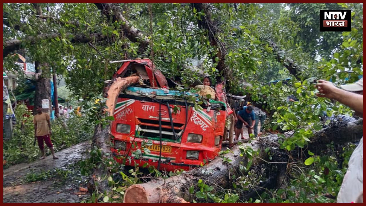 बाराबंकी में दर्दनाक हादसा: चलती बस पर गिरा विशाल गूलर का पेड़, 6 की मौत, कई घायल